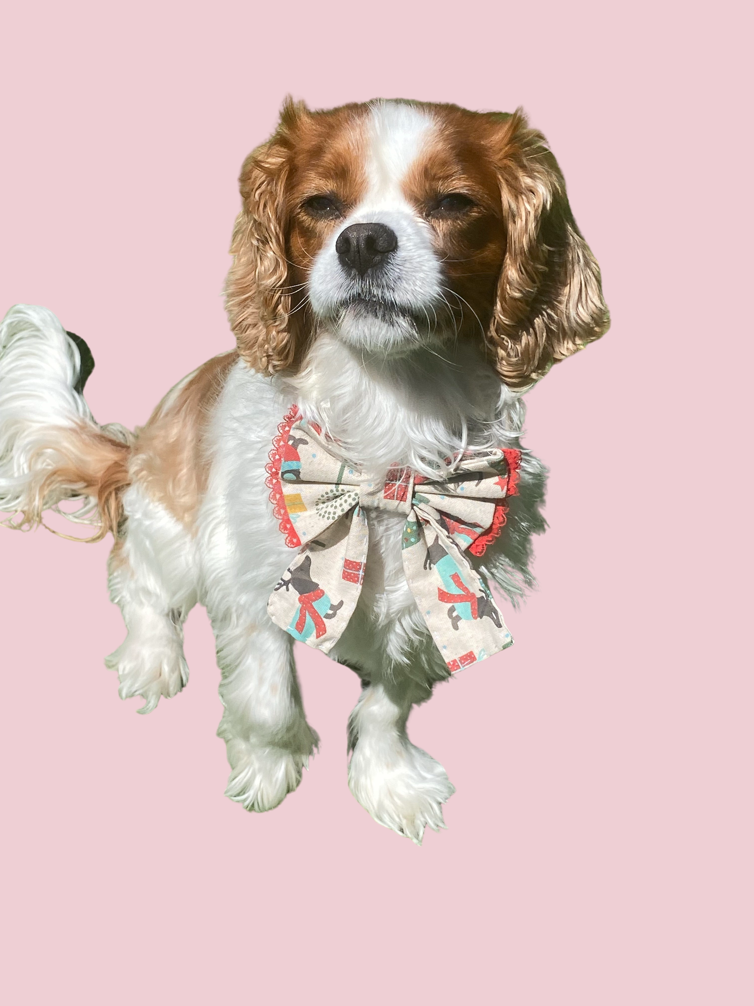 Finished project made with the MINIANI Christmas special: Dogs Neckwear Kit