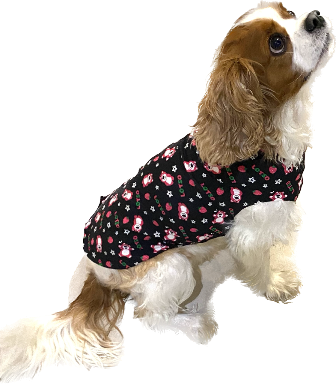 Finished project made with the MINIANI Dogs T-Shirt and Accessory kit