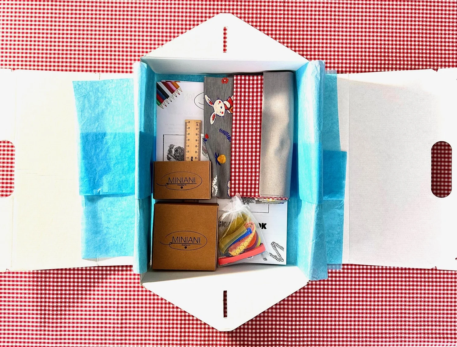 MINIANI Dogs T-Shirt and Accessory kit DIY kit box
